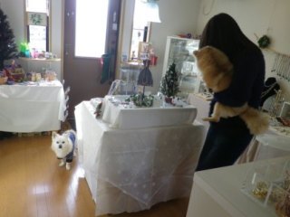 141215-2.jpg