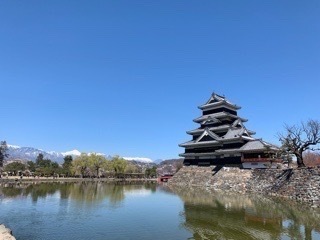 14F76033-9913-4860-B742-451BEF680991.jpeg