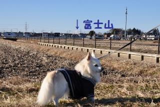 150103-k1.jpeg