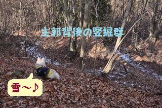 150110-k11.jpeg