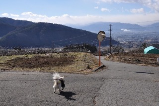150110-k15.jpeg