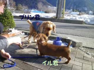 150128-1.jpg
