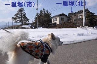 150211-k4.jpeg
