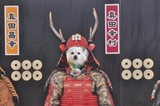 150214-k2.jpeg