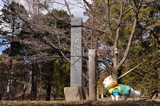 150214-k3.jpeg
