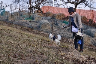 150308-k12.jpeg