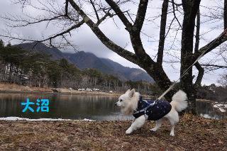 150308-k5.jpeg