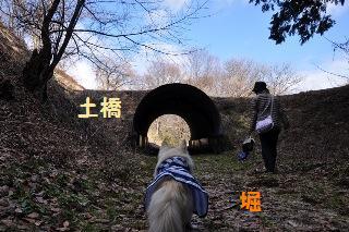 150308-k9.jpeg