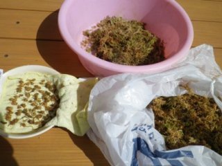 150317-2.jpg