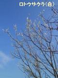 150320-3.jpg