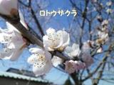 150327-3.jpg