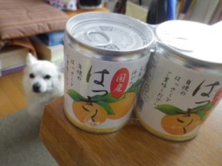 150327-4.jpg