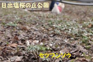 150329-k1.jpeg