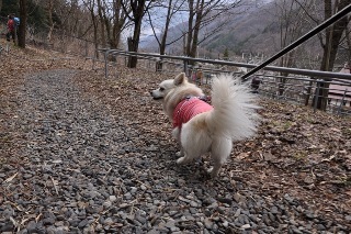 150329-k5.jpeg