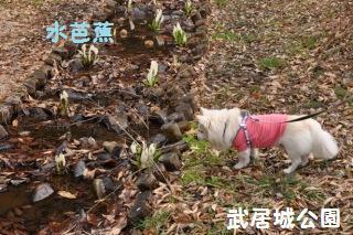 150329-k6.jpeg