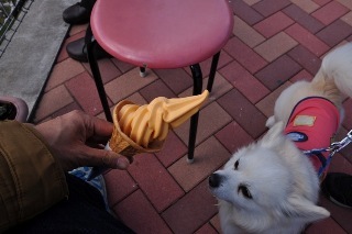 150404-k11.jpeg