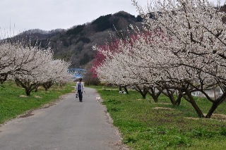 150404-k6.jpeg