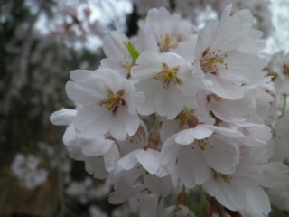 150406-6.jpg