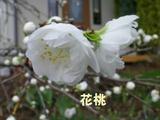 150408-3.jpg