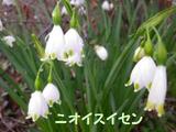 150408-4.jpg