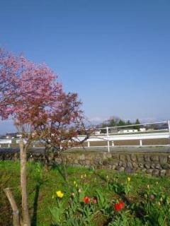 150416-1.jpg
