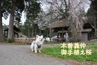 150419-k1.jpeg