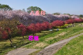 150426-k10.jpeg