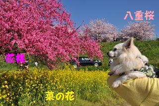 150426-k5.jpeg