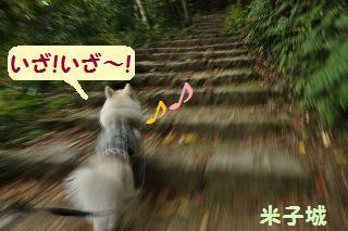 150503-k1.jpeg