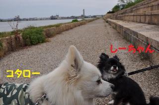 150503-k6.jpeg