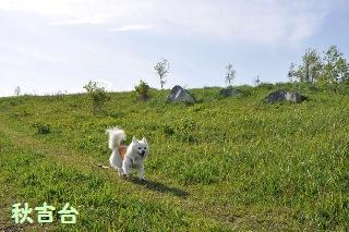 150504-k10.jpeg