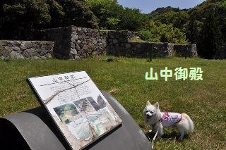 150505-k10.jpeg