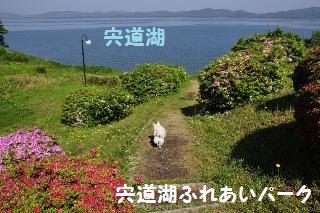 150505-k3.jpeg