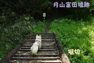 150505-k6.jpeg
