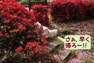 150506-k7.jpeg