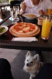 150517-k12.jpeg