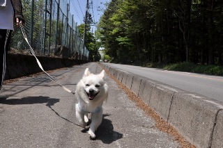 150517-k2.jpeg