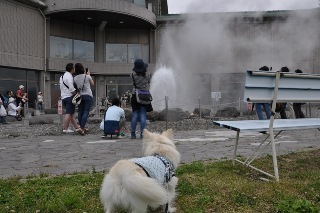 150524-k6.jpeg
