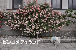 150606-k7.jpeg