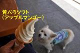 150607-k5.jpeg