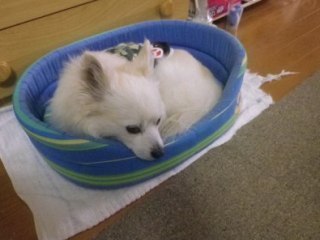 150619-3.jpg