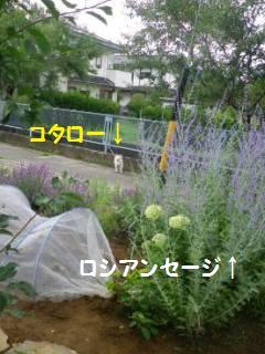 150627-1.jpg