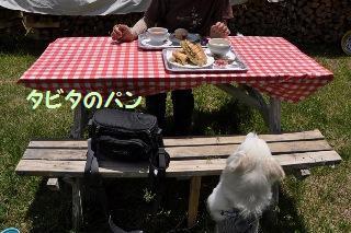 150628-k5.jpeg