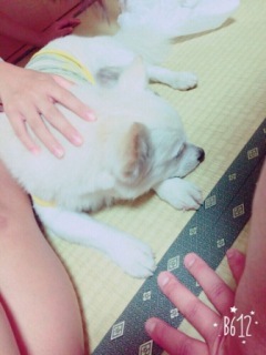 150814-y1.jpg