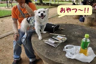 150823-k15.jpeg