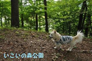 150905-k1.jpeg