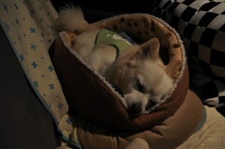150912-k14.jpeg