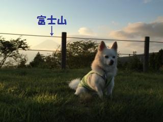 150912-ki5.jpg