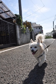 151003-k2.jpeg