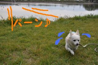 151010-k3.jpeg